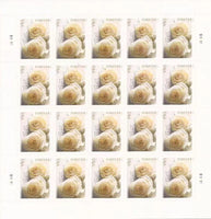 Wedding Roses Forever First Class Postage Stamps